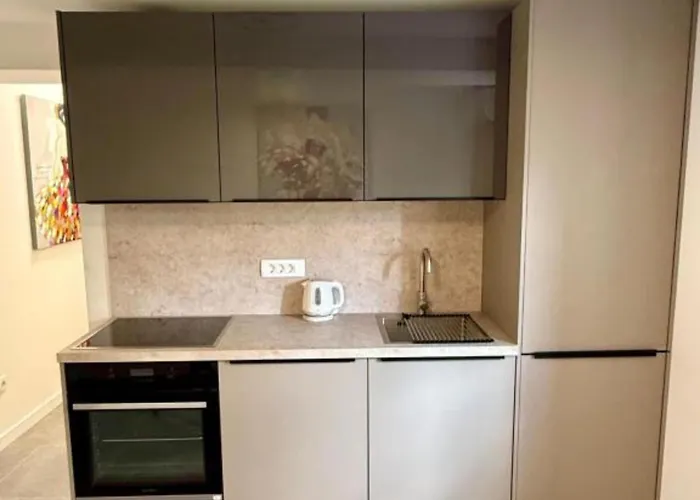 One-bedroom With Terrace 公寓 *